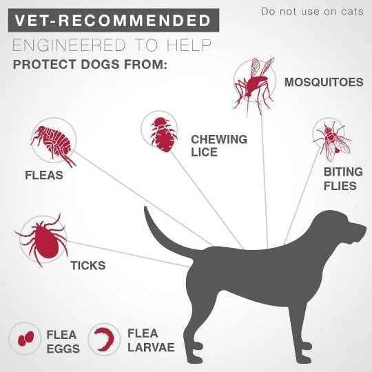 K9 Advantix II Flea & Tick Control Treatment for Extra Large Dogs Over 55 lbs | 6 Month Supply