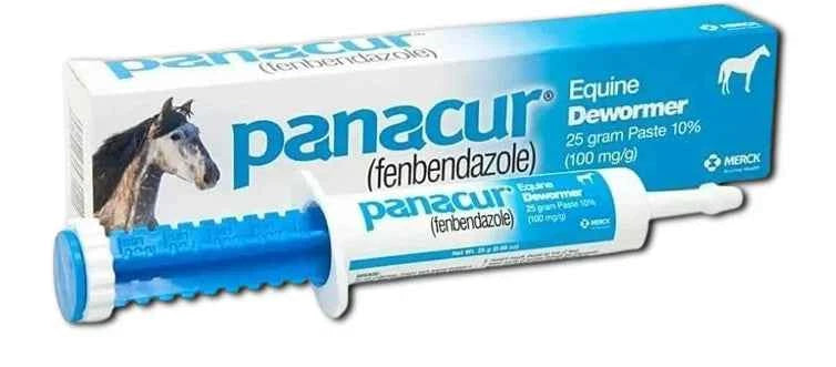 Panacur Horse Dewormer Paste 10% | 100 mg | Single Dose